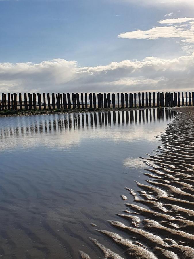 Beachhouse Zeewinde Zoutelande Exteriör bild